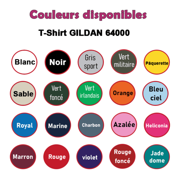 color T shirt Gildan 64000